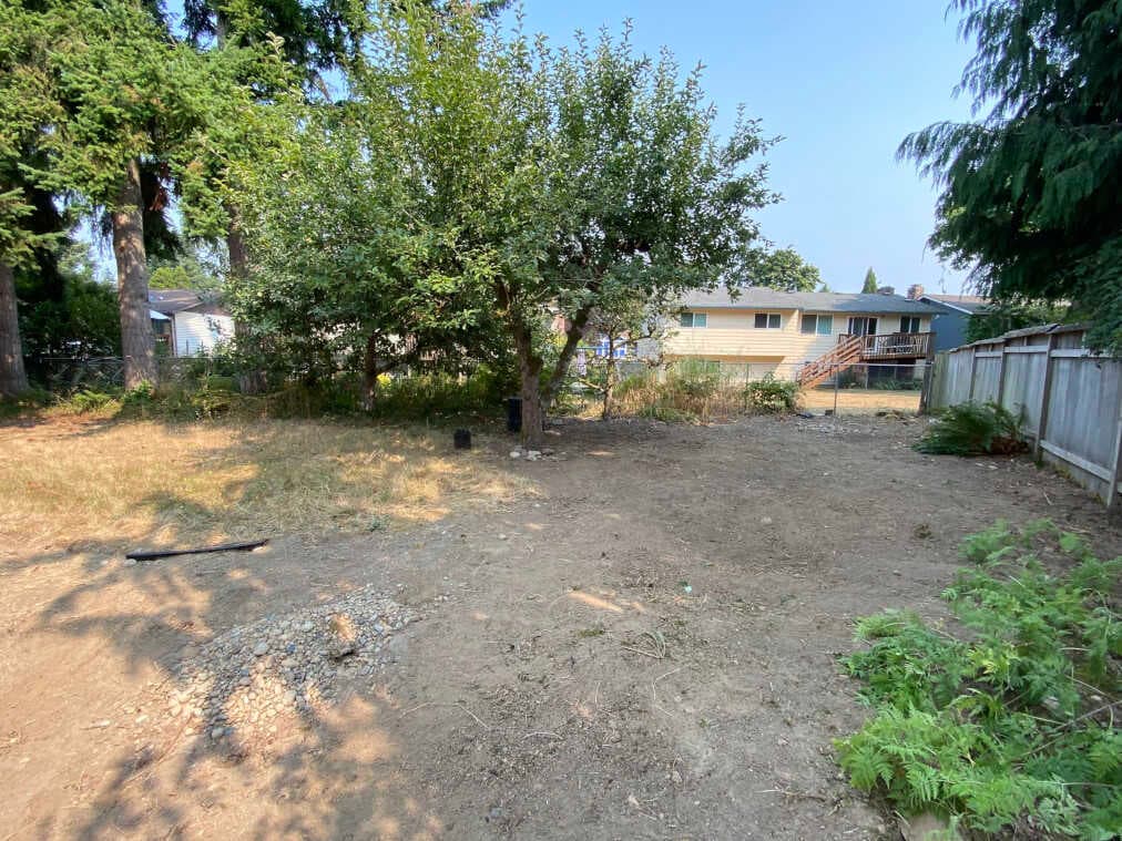 Reclaiming backyard