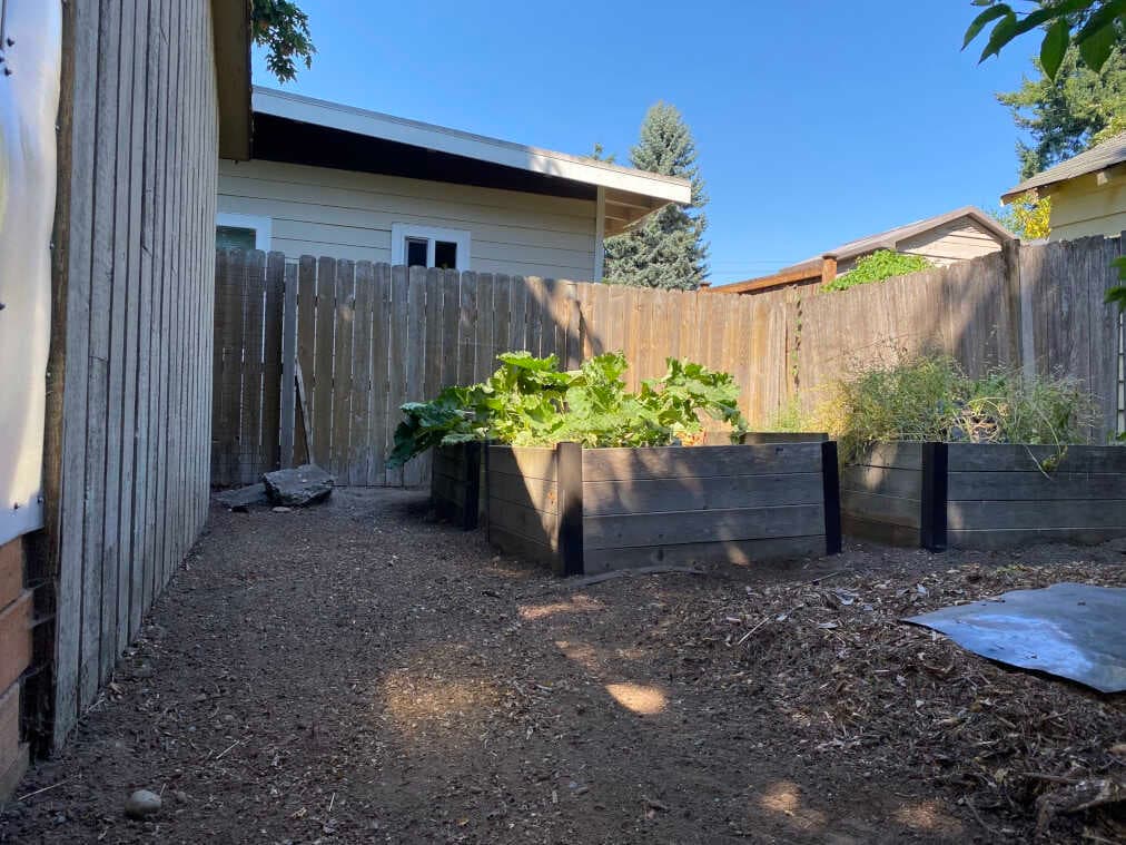 No weeds around