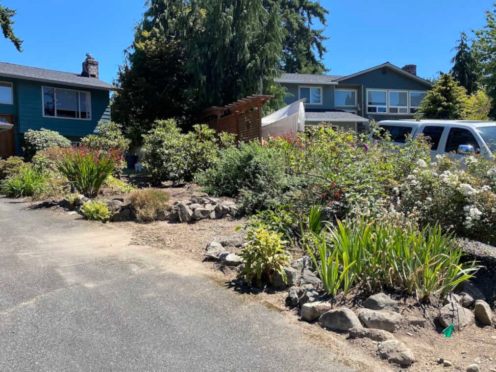 A garden reclaimed