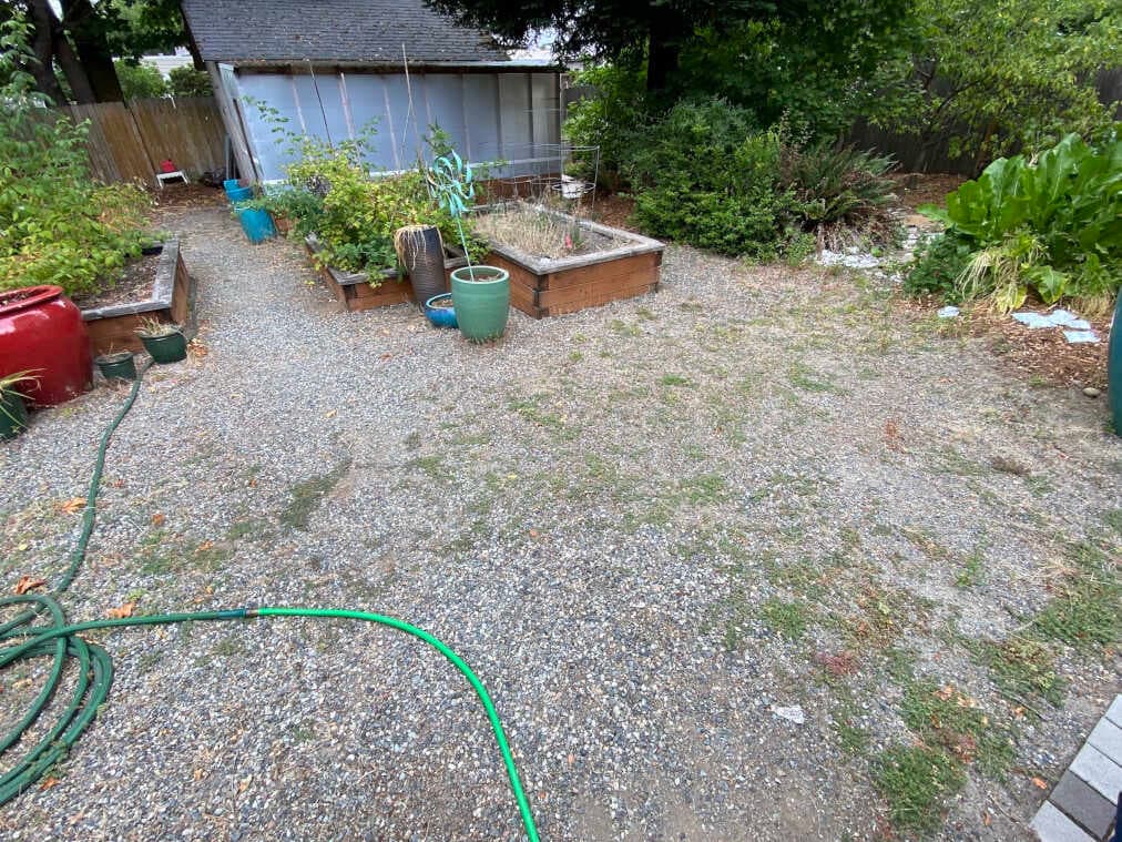 A Weed Invasion